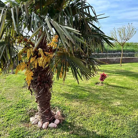Casa Giulietta Hébergement de vacances Tolle